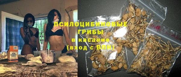 ГАЛЛЮЦИНОГЕННЫЕ ГРИБЫ Волоколамск