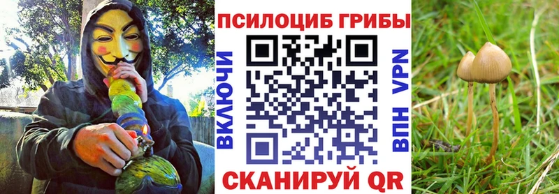 Галлюциногенные грибы прущие грибы  Магнитогорск 